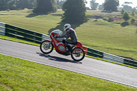 Vintage-motorcycle-club;eventdigitalimages;mallory-park;mallory-park-trackday-photographs;no-limits-trackdays;peter-wileman-photography;trackday-digital-images;trackday-photos;vmcc-festival-1000-bikes-photographs